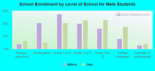 School Enrollment by Level of School for Male Students