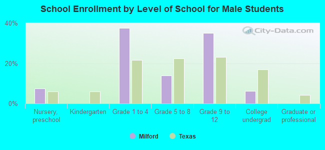 School Enrollment by Level of School for Male Students