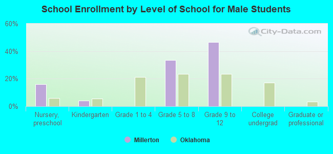 School Enrollment by Level of School for Male Students