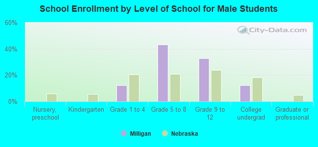 School Enrollment by Level of School for Male Students