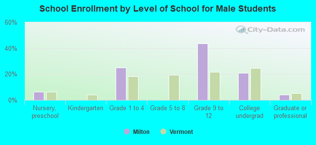 School Enrollment by Level of School for Male Students