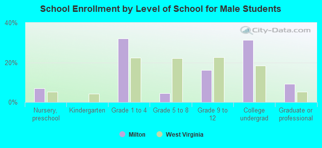 School Enrollment by Level of School for Male Students