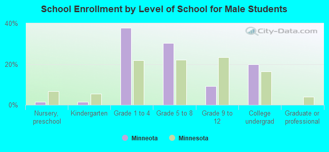 School Enrollment by Level of School for Male Students