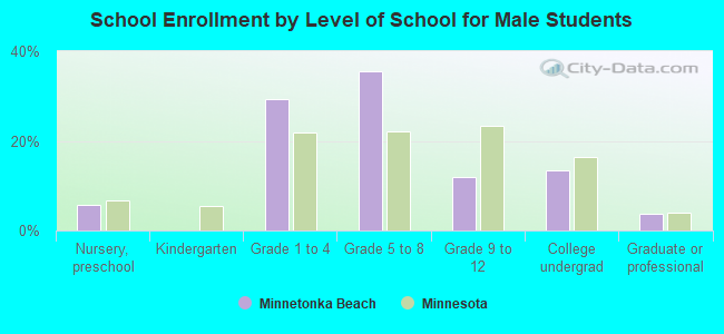 School Enrollment by Level of School for Male Students