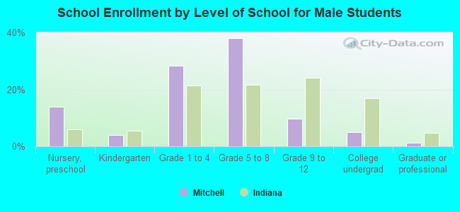 School Enrollment by Level of School for Male Students