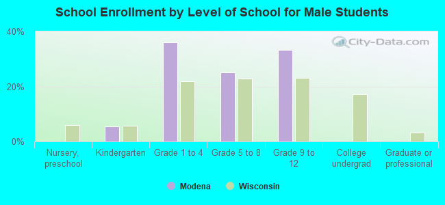 School Enrollment by Level of School for Male Students