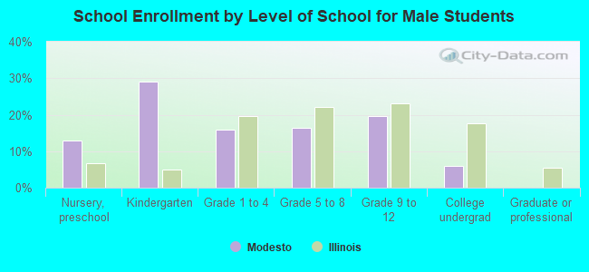 School Enrollment by Level of School for Male Students