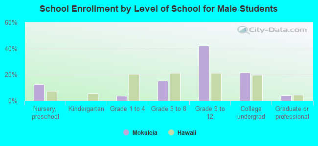 School Enrollment by Level of School for Male Students