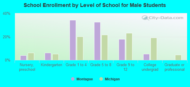 School Enrollment by Level of School for Male Students