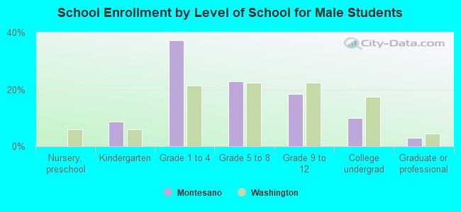 School Enrollment by Level of School for Male Students