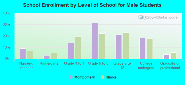 School Enrollment by Level of School for Male Students