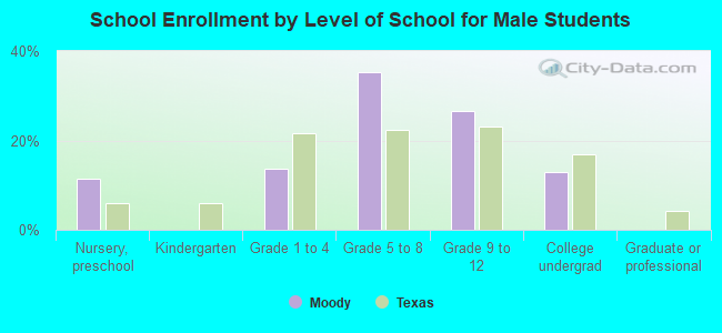 School Enrollment by Level of School for Male Students