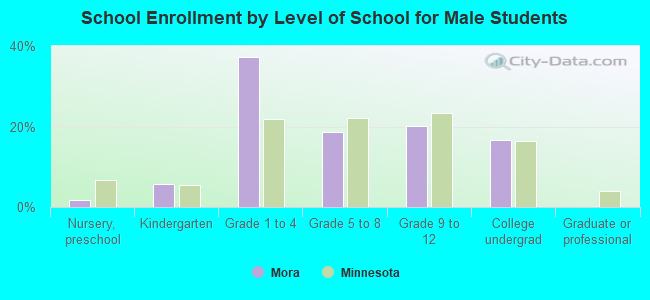 School Enrollment by Level of School for Male Students