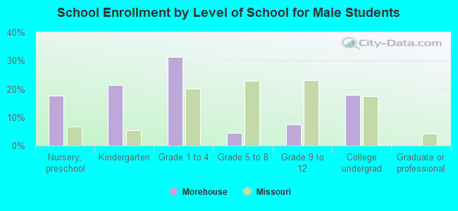 School Enrollment by Level of School for Male Students