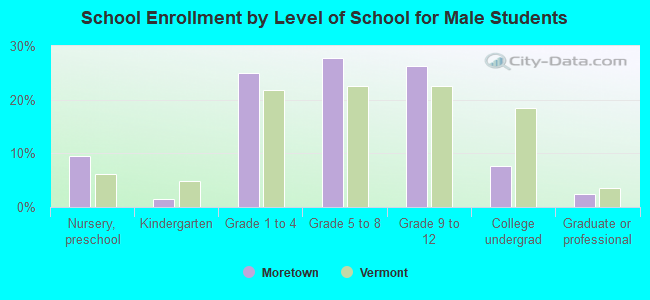 School Enrollment by Level of School for Male Students