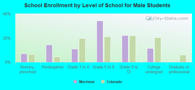 School Enrollment by Level of School for Male Students