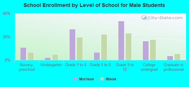 School Enrollment by Level of School for Male Students