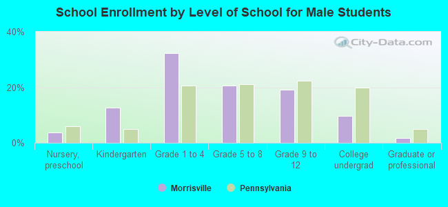 School Enrollment by Level of School for Male Students