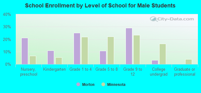 School Enrollment by Level of School for Male Students