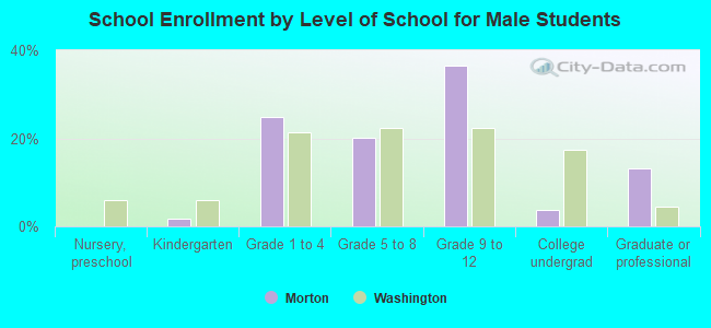 School Enrollment by Level of School for Male Students