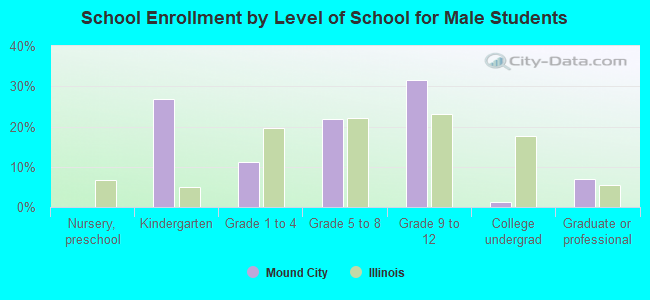 School Enrollment by Level of School for Male Students