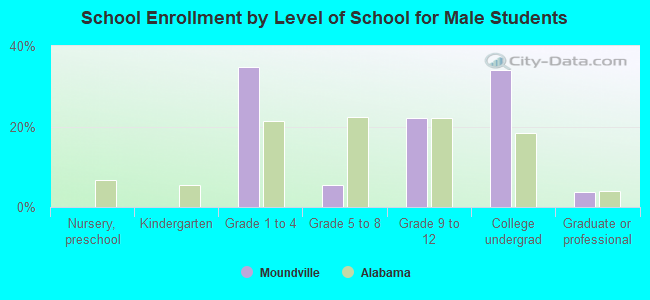 School Enrollment by Level of School for Male Students