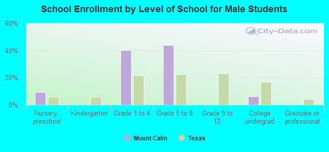 School Enrollment by Level of School for Male Students