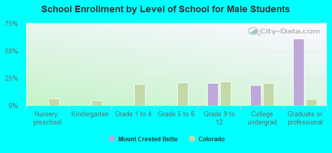 School Enrollment by Level of School for Male Students