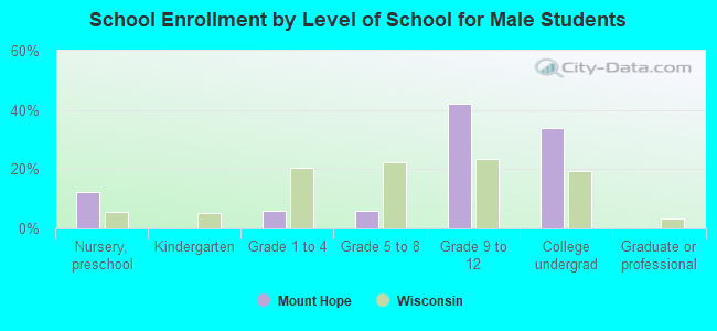 School Enrollment by Level of School for Male Students