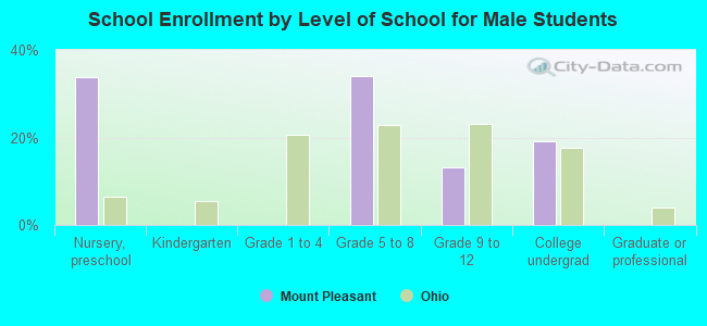 School Enrollment by Level of School for Male Students