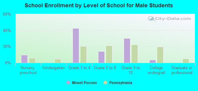 School Enrollment by Level of School for Male Students