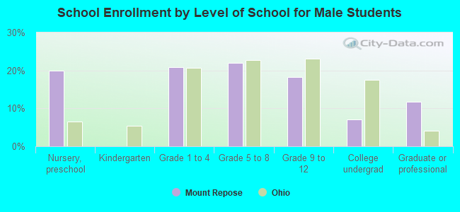 School Enrollment by Level of School for Male Students