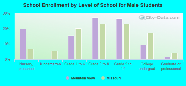 School Enrollment by Level of School for Male Students