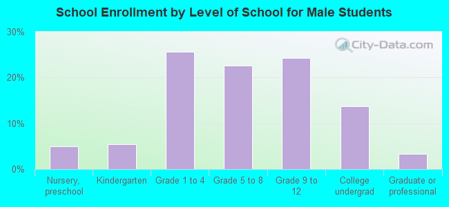 School Enrollment by Level of School for Male Students