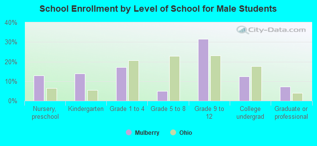 School Enrollment by Level of School for Male Students