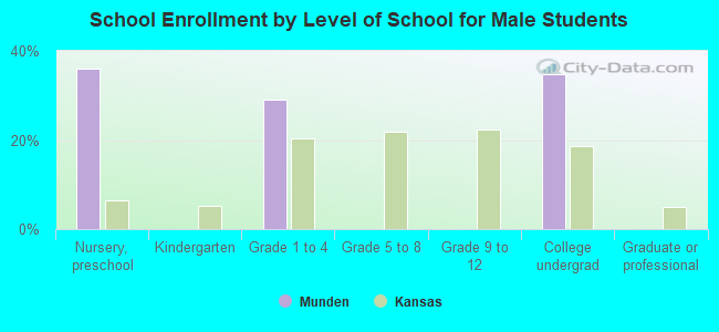 School Enrollment by Level of School for Male Students