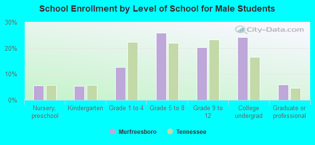 School Enrollment by Level of School for Male Students