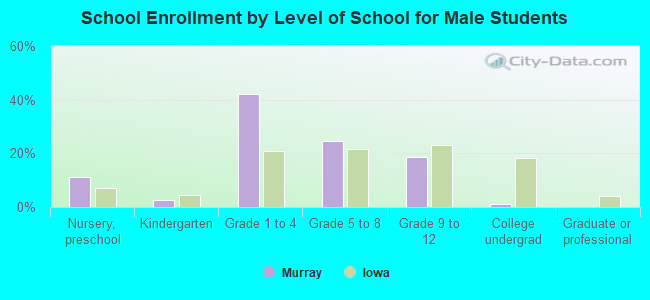 School Enrollment by Level of School for Male Students