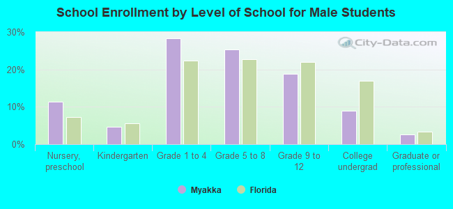 School Enrollment by Level of School for Male Students