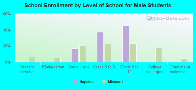 School Enrollment by Level of School for Male Students