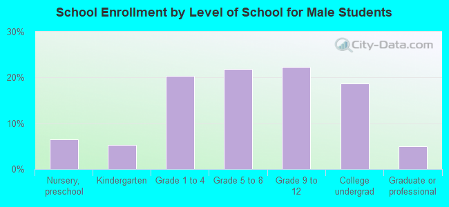 School Enrollment by Level of School for Male Students