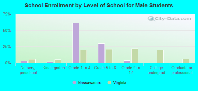 School Enrollment by Level of School for Male Students