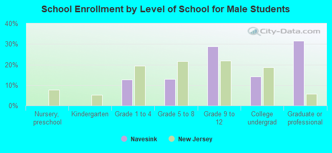 School Enrollment by Level of School for Male Students