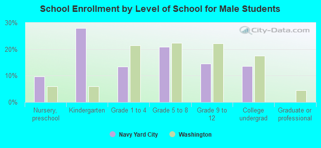 School Enrollment by Level of School for Male Students