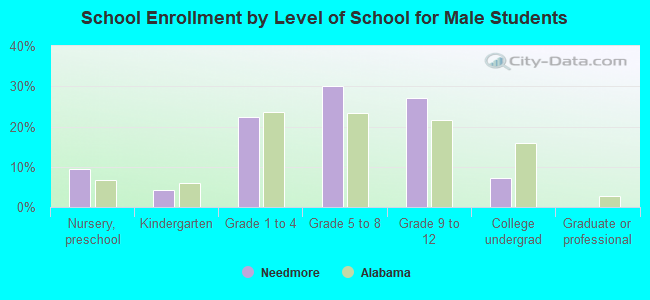 School Enrollment by Level of School for Male Students