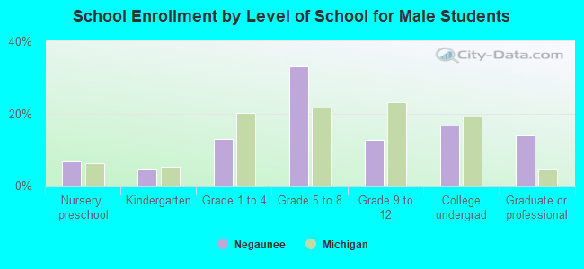 School Enrollment by Level of School for Male Students