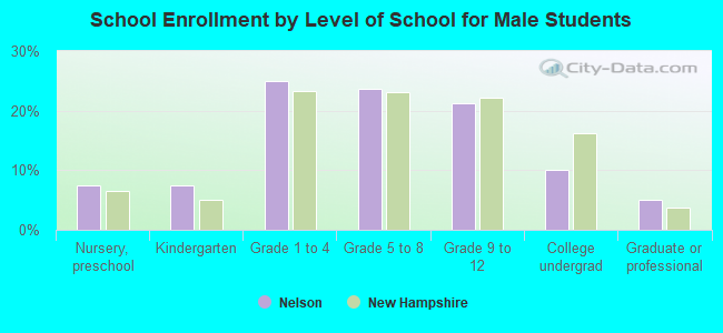 School Enrollment by Level of School for Male Students