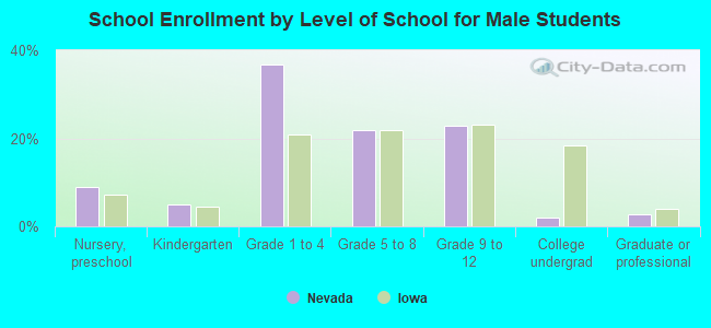 School Enrollment by Level of School for Male Students