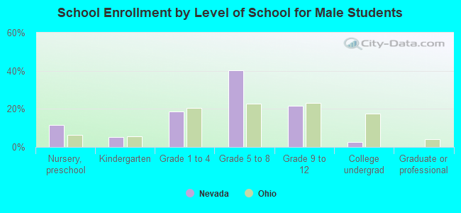 School Enrollment by Level of School for Male Students