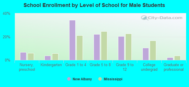 School Enrollment by Level of School for Male Students